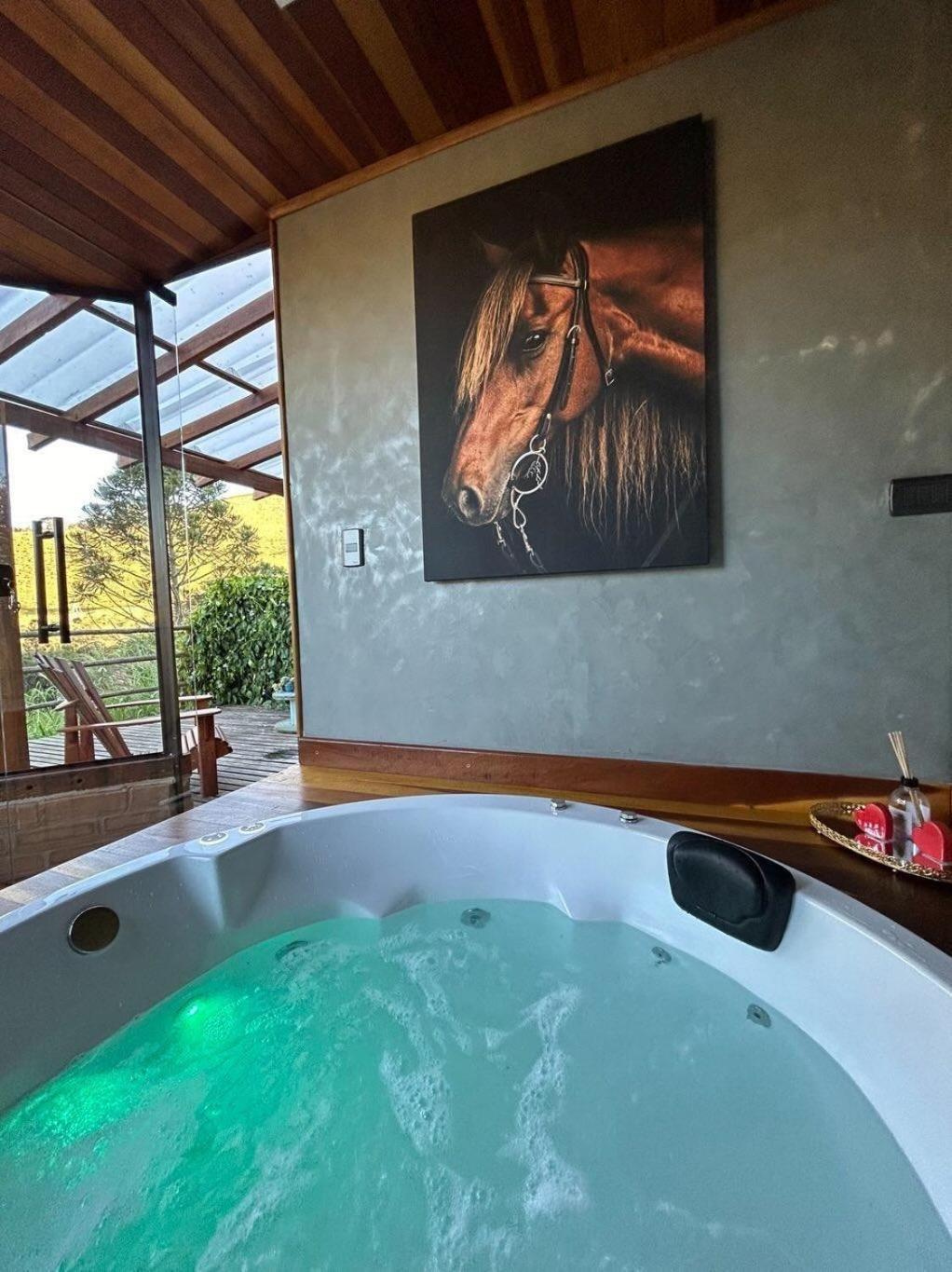 Refugio Horse Villa Santo Antônio do Pinhal Kültér fotó